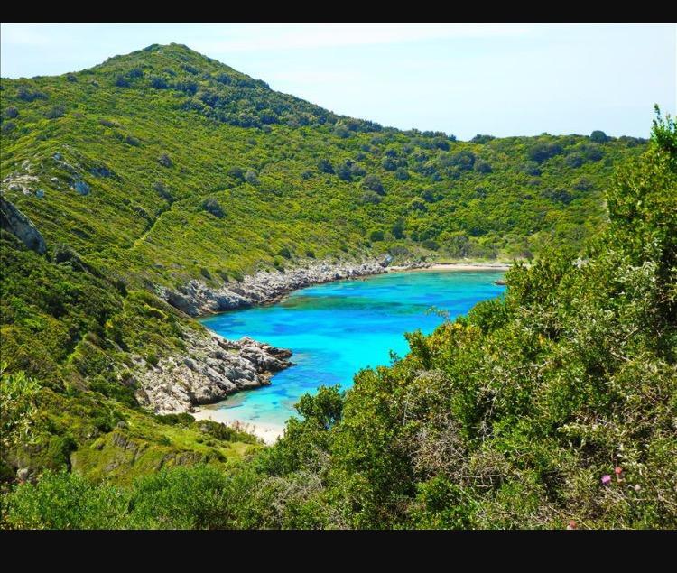 Ninos Corfu Villas Agios Georgios  Ngoại thất bức ảnh